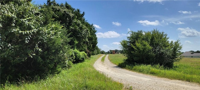 0000 Lone Star Ln, Franklin, TX 77856 - photo 5
