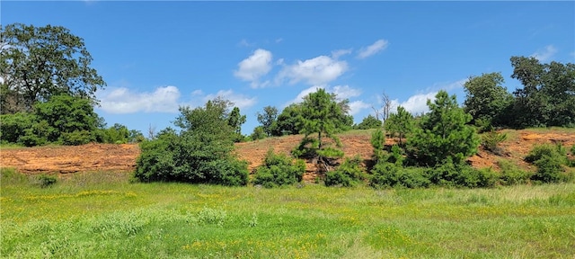 0000 Lone Star Ln, Franklin, TX 77856 - photo 22
