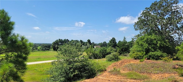 0000 Lone Star Ln, Franklin, TX 77856 - photo 20