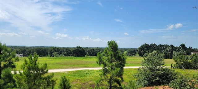 0000 Lone Star Ln, Franklin, TX 77856 - photo 17