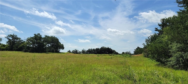 0000 Lone Star Ln, Franklin, TX 77856 - photo 10