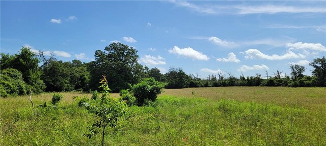 0000 Lone Star Ln, Franklin, TX 77856 - photo 11