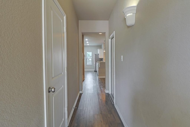 hallway with dark hardwood / wood-style floors