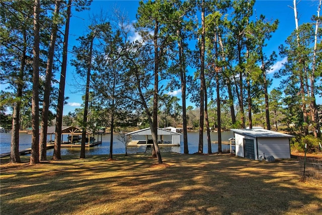 view of yard with a dock