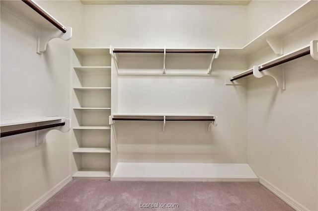 walk in closet featuring light colored carpet