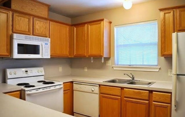 kitchen featuring sink and white appliances