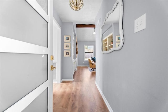 hall with hardwood / wood-style flooring