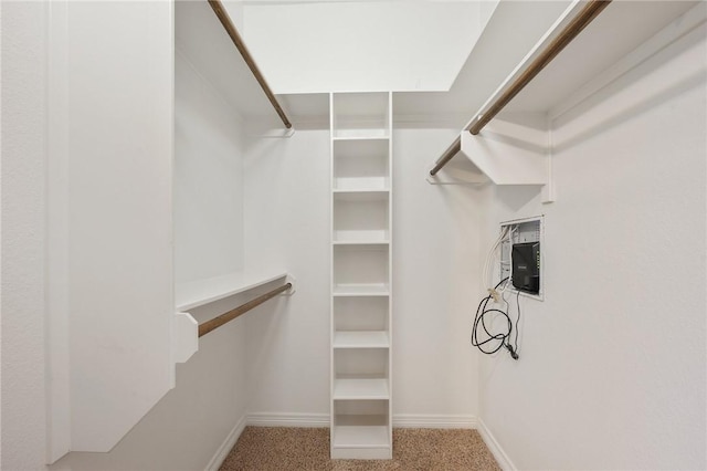 spacious closet featuring carpet floors