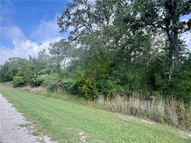 LOTS569-573 Pond St, Somerville, TX 77879 - photo 4