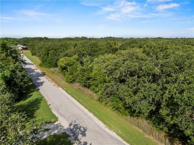 LOTS569-573 Pond St, Somerville, TX 77879 - photo 11