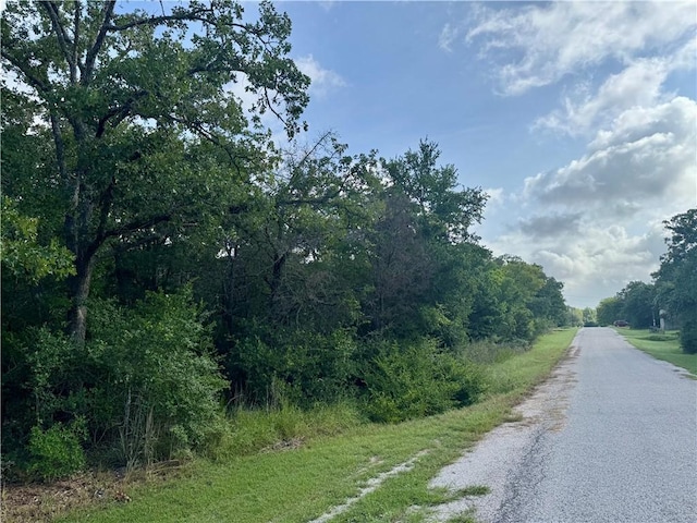 LOTS569-573 Pond St, Somerville, TX 77879 - photo 3