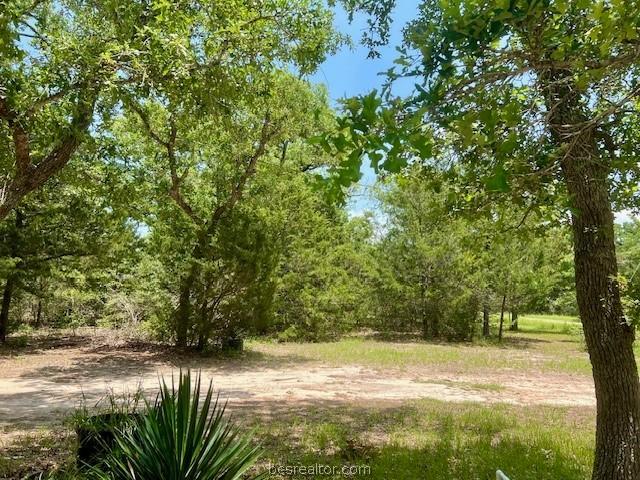 607 Deer Run Trl, Somerville TX, 77879 land for sale