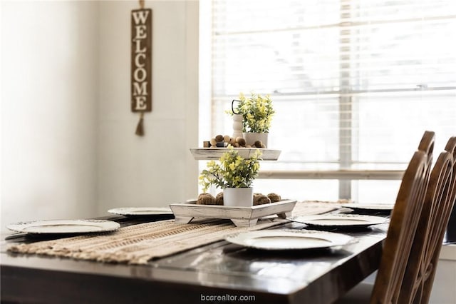 dining room with plenty of natural light