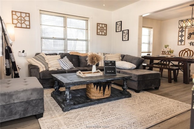 living room with wood-type flooring and a healthy amount of sunlight