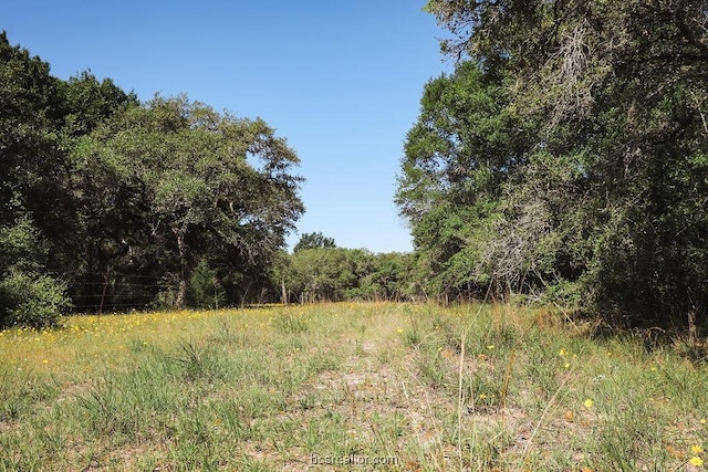 Listing photo 3 for TBD County Rd Unit 14D/ 14E Tx, TX 77964