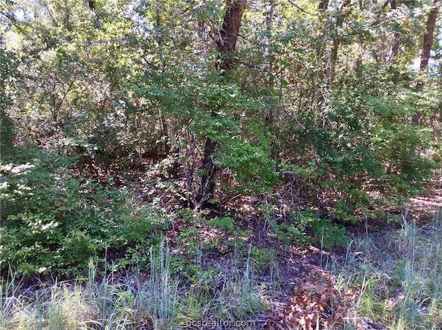 Listing photo 3 for TBD Wolf Run, Somerville TX 77879