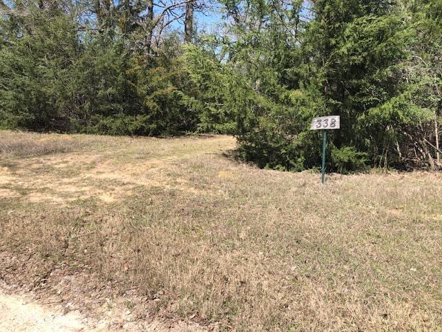 10809 Clyde Acord Rd, Franklin TX, 77856 land for sale