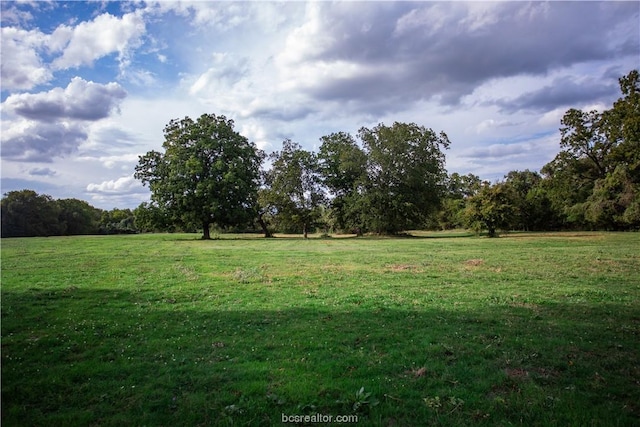 view of yard featuring a rural view