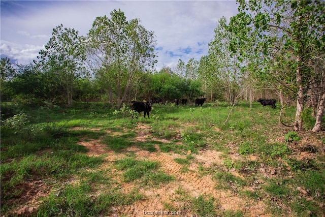 view of landscape with a rural view