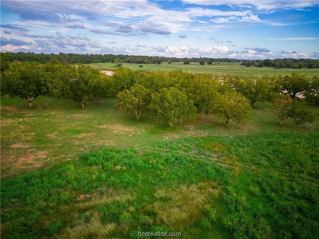 view of nature with a rural view