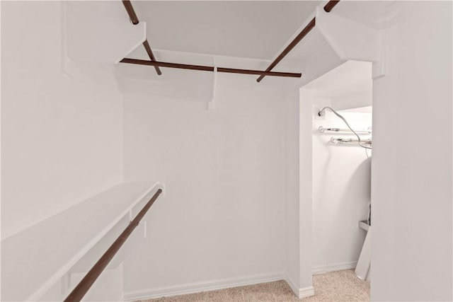 spacious closet with light colored carpet