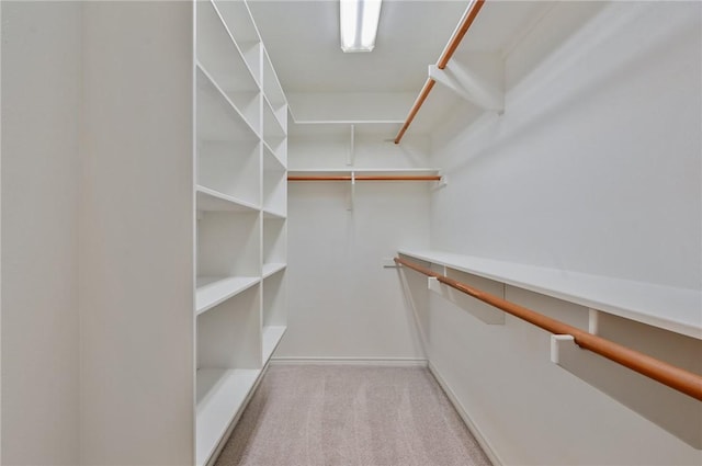 spacious closet featuring light colored carpet