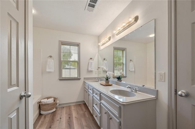 bathroom with vanity and wood-type flooring