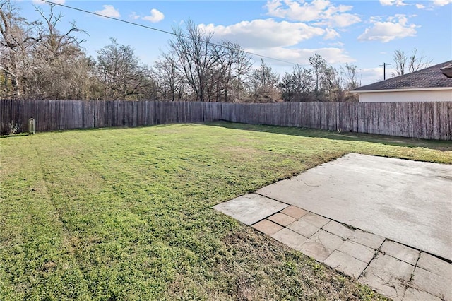 view of yard featuring a patio area