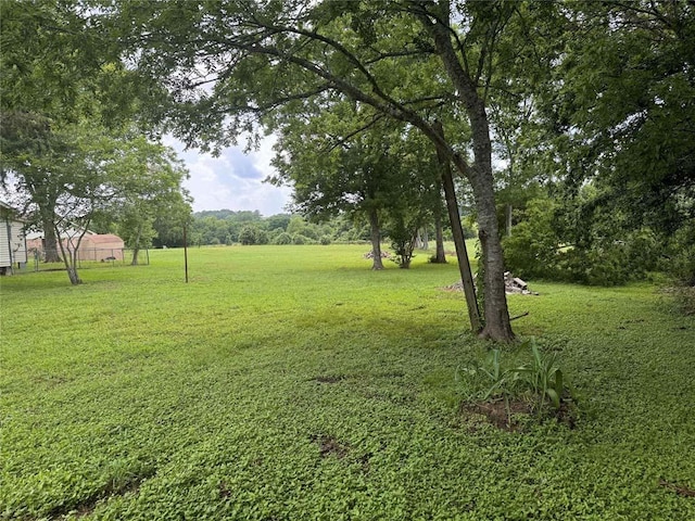 1512 Hwy 90 S, Anderson, TX 77830 - photo 4