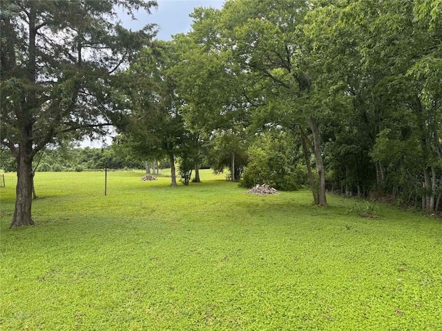 1512 Hwy 90 S, Anderson, TX 77830 - photo 6