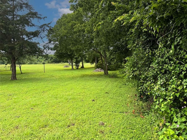 1512 Hwy 90 S, Anderson, TX 77830 - photo 11