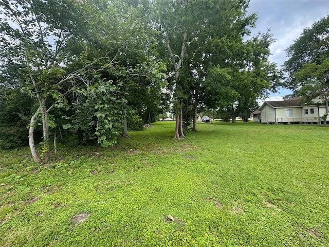 1512 Hwy 90 S, Anderson, TX 77830 - photo 5
