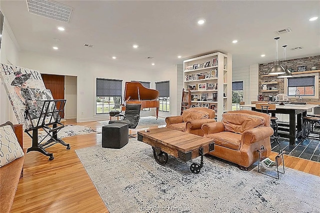 living room with wood-type flooring and sink