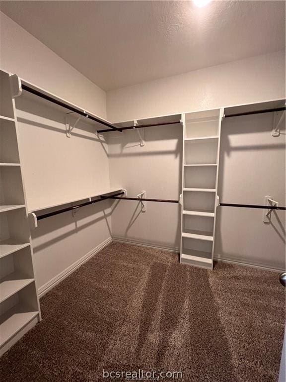 walk in closet featuring carpet floors