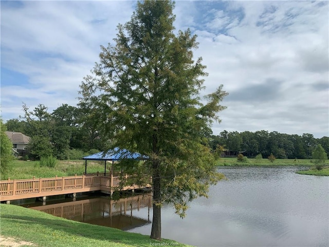 dock area with a water view