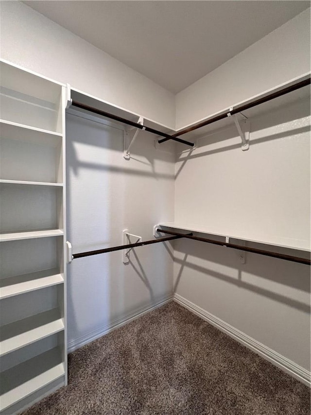 walk in closet with dark carpet