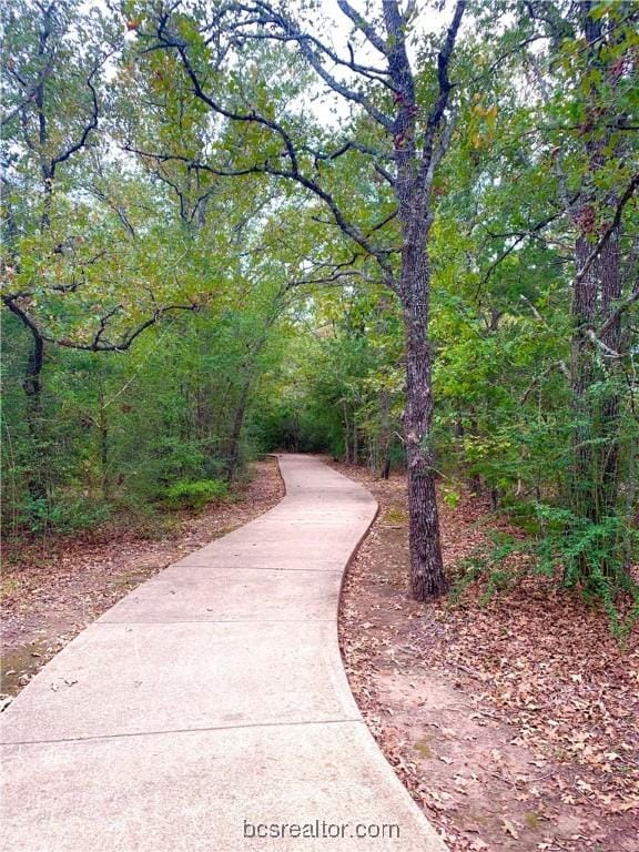 2126 Mountain Wind Loop, Bryan, TX 77807 - view of community with a wooded view