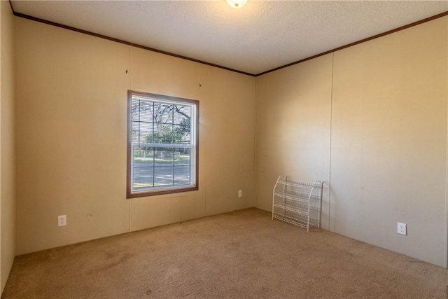 unfurnished room with a textured ceiling, carpet, and crown molding