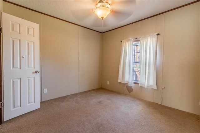 carpeted empty room featuring ornamental molding