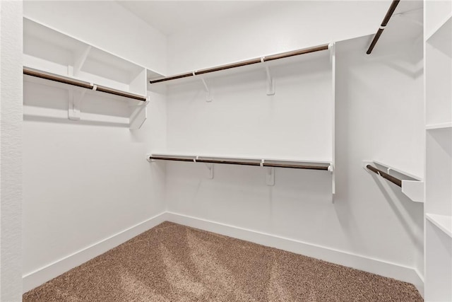 spacious closet with carpet