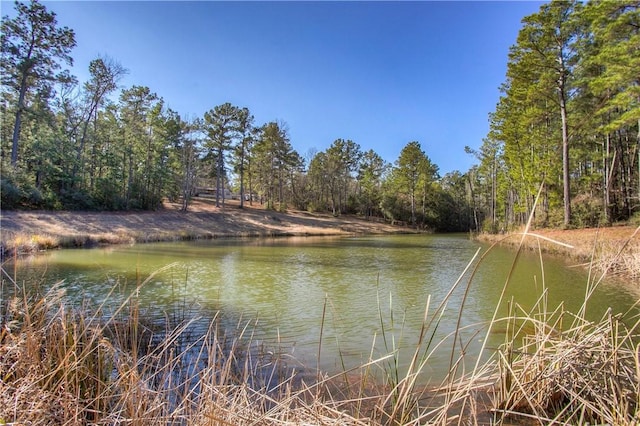 3055 County Road 274, Buffalo TX, 75831 land for sale