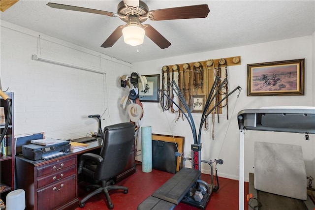 10626 Buls Rd, Tx, TX 77435 - photo 23