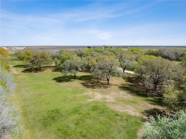 10626 Buls Rd, Tx, TX 77435 - photo 5