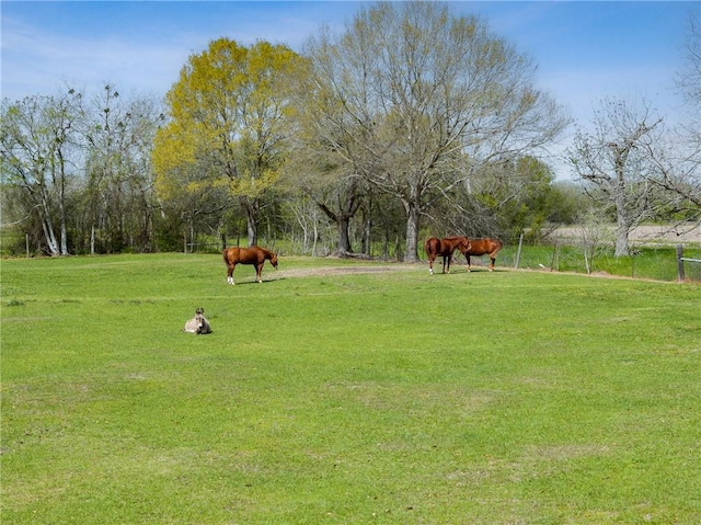 10626 Buls Rd, Tx, TX 77435 - photo 6