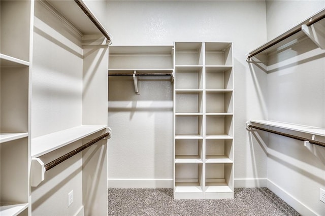 walk in closet with carpet floors