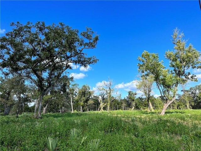 LOT2 County Rd 506, TX, 77422 land for sale