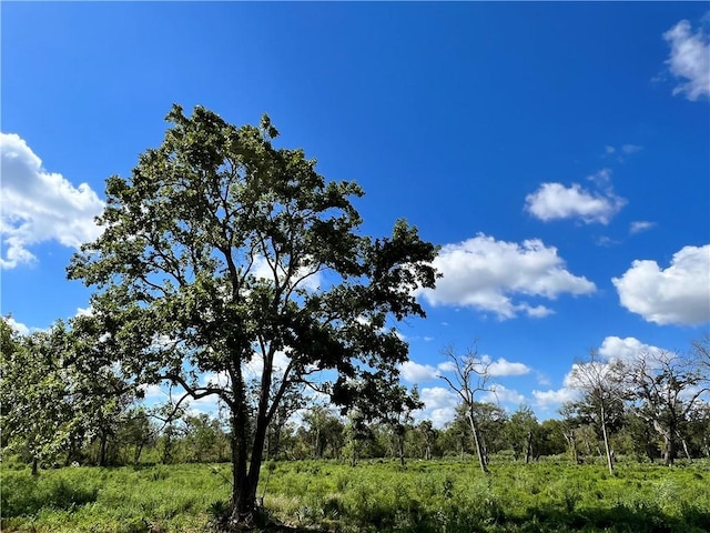 Listing photo 3 for LOT2 County Rd 506, TX 77422