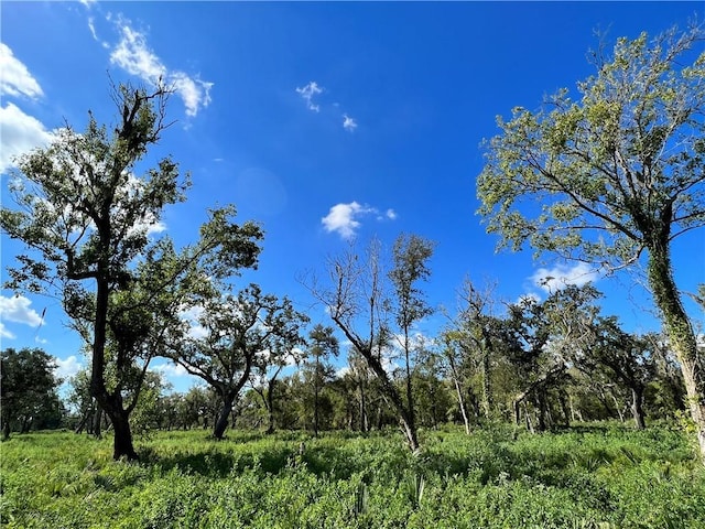 Listing photo 2 for LOT2 County Rd 506, TX 77422