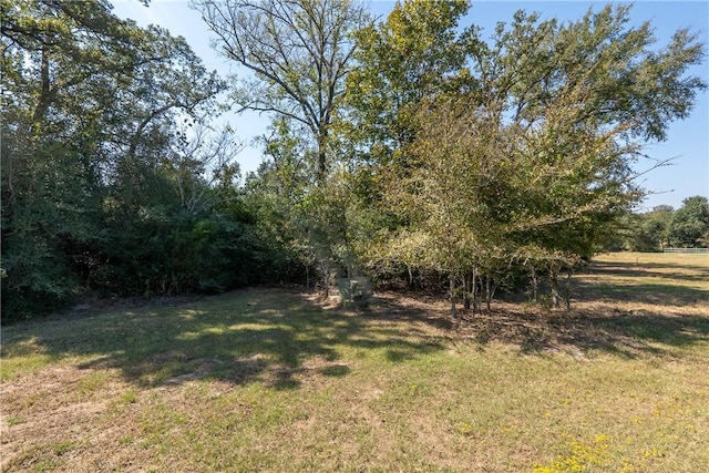 Listing photo 3 for 9809 Mountbatten Trl, Iola TX 77861