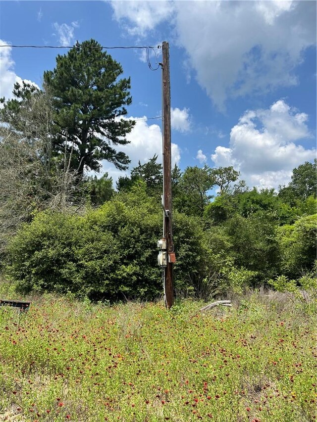 8647 County Road 342, Milano, TX 76556 - photo 3